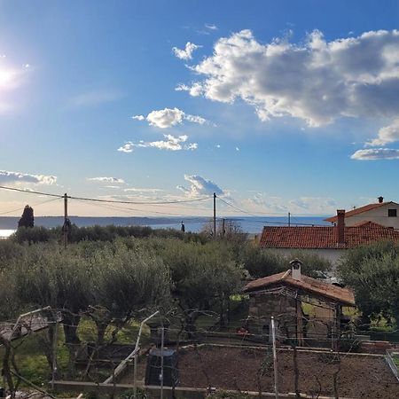 Apartma Isabella Sečovlje Dış mekan fotoğraf